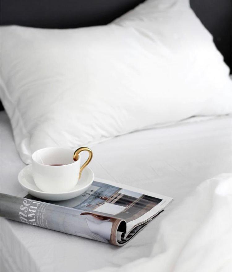 The Queen Airport Hotel-Round Trip Airport Service Arnavutkoy Εξωτερικό φωτογραφία